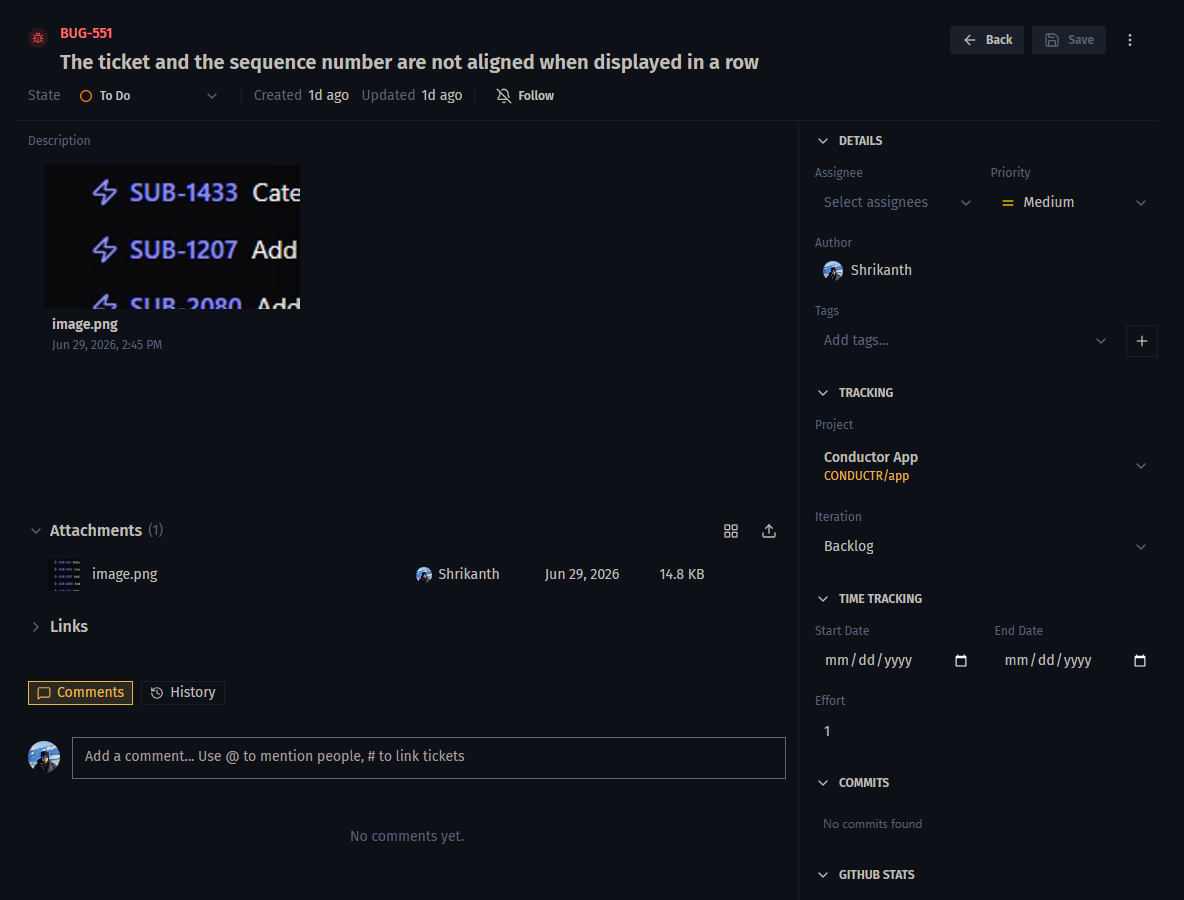 A ticket detail page showing the title, status, field values, description, and the activity panel with comments.